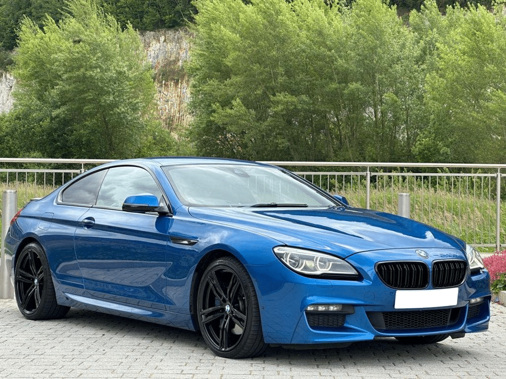 BMW F06 F12 F13 6 Series (2011-18) M6 Style Dual Slat Gloss Black Kidney Grille